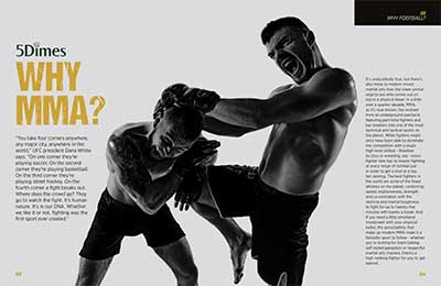 mma decisions mma decisions
